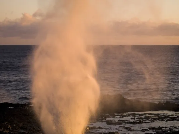 Cuerno de fumigación, Kauai, Hawaii —  Fotos de Stock