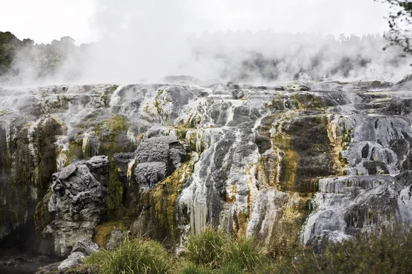 Kaplıcalar Rotorua, Yeni Zelanda — Stok fotoğraf