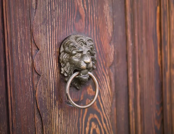 Porta del leone bussare — Foto Stock