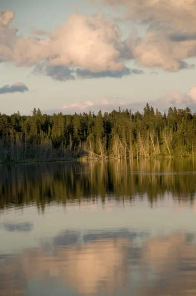 Jezioro lasu, ontario, Kanada — Zdjęcie stockowe