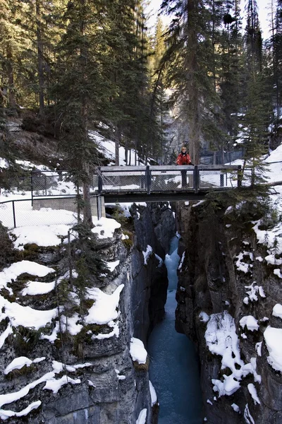 Person, die auf einer Brücke steht, maligne Schlucht, Jaspis-Nationalpark, Alberta, Kanada — Stockfoto