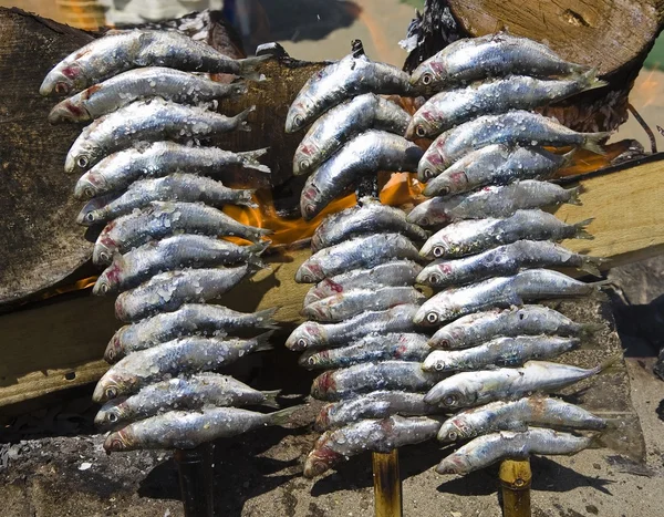 Spiedini di sardine — Foto Stock