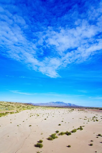 Nuovo Messico, Stati Uniti. Deserto esteso con le montagne della Sierra Ladrones in lontananza — Foto Stock