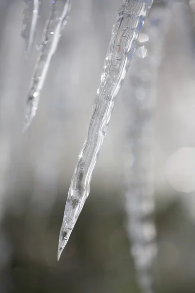 Eiszapfen im Winter — Stockfoto