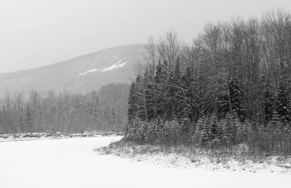 Vintern, british columbia, Kanada — Stockfoto