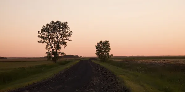 Estrada da sujeira através dos campos, Manitoba, Canadá — Fotografia de Stock