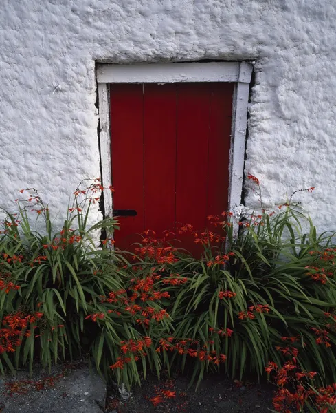 Una puerta roja —  Fotos de Stock