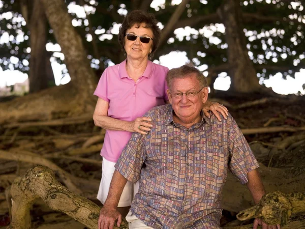 Portrait Of A Couple — Stock Photo, Image