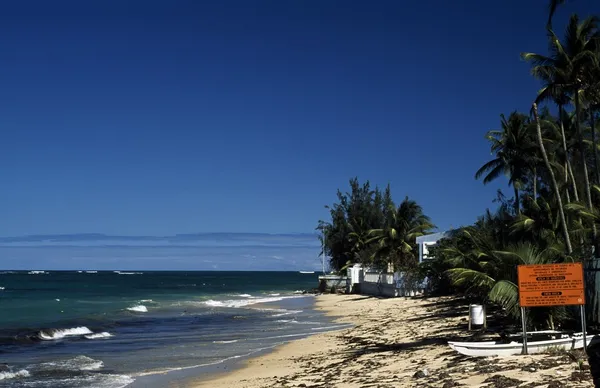 Caribbean beach och marina — Stockfoto