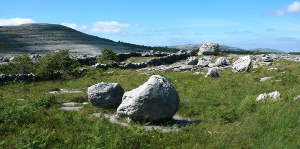 Пейзаж в саду
