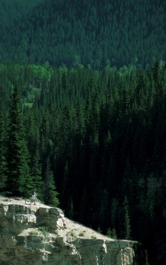 tepeden bakarak bisikletçi