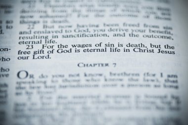 Yeni Amerikan Standart İncil