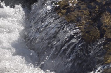 Elbow River 'daki Kayaların Üzerinde Şelale