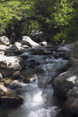 Korsika, kayaların üzerinden akan dere su Fransa