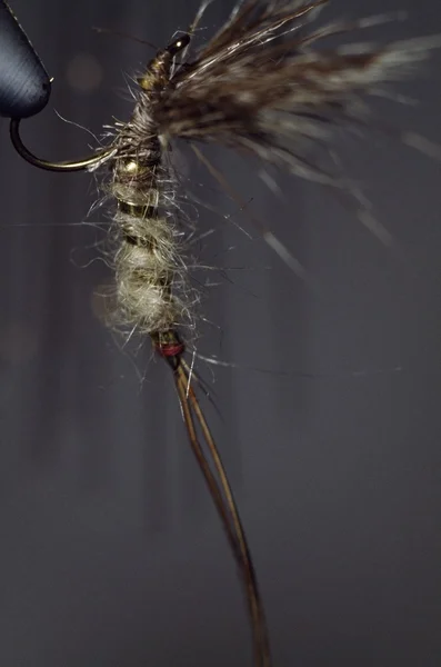 Primer plano de señuelo de pesca con mosca — Foto de Stock