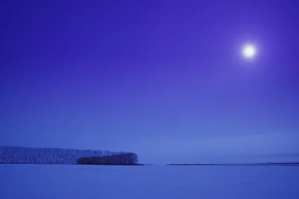 Paisaje de invierno desnudo — Foto de Stock