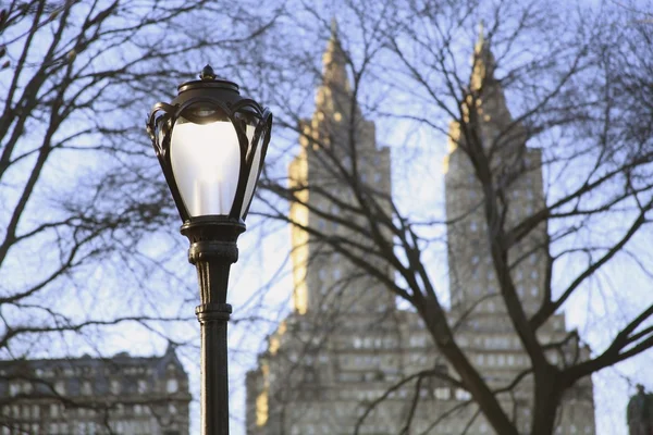 Lichtmast im Central Park — Stockfoto