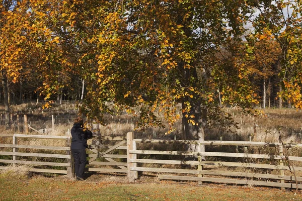 Pessoa em pé perto de uma cerca, Northumberland, Inglaterra — Fotografia de Stock