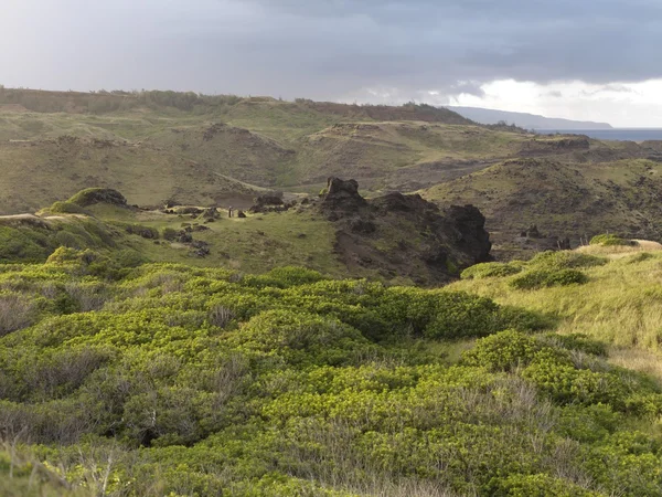 Hügel. honokohau bay, maui, hawaii, usa — Stockfoto