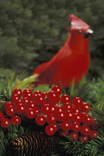 冬青浆果与背景中只红色的鸟 — 图库照片