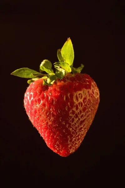 Nahaufnahme-Erdbeere — Stockfoto