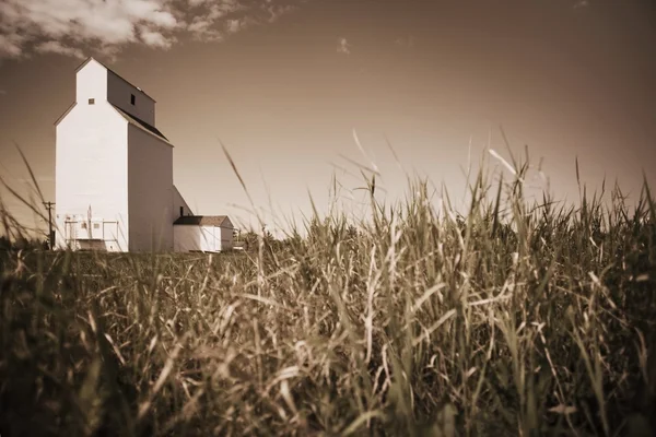 Grain Elevator — Stock Photo, Image