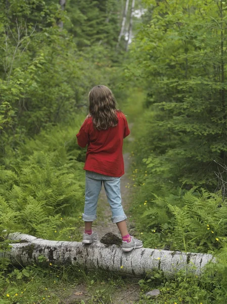 Ung flicka stående på logg, lake of the woods, ontario, Kanada — Stockfoto