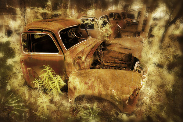 Wrecks Of Old Trucks