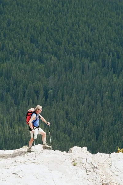 Homem caminhando em uma colina com vista para uma floresta — Fotografia de Stock