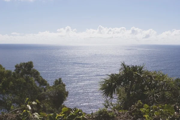 Tyynimeri Mauin itärannikolla, Havaijilla — kuvapankkivalokuva