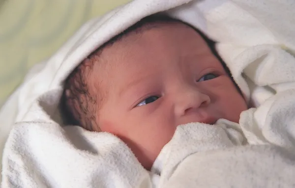 Новорожденные завернуты в одеяло — стоковое фото
