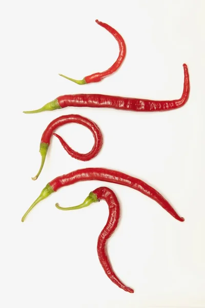 Cinco pimentas vermelhas de Jalapeno que se enrolaram em formas únicas — Fotografia de Stock