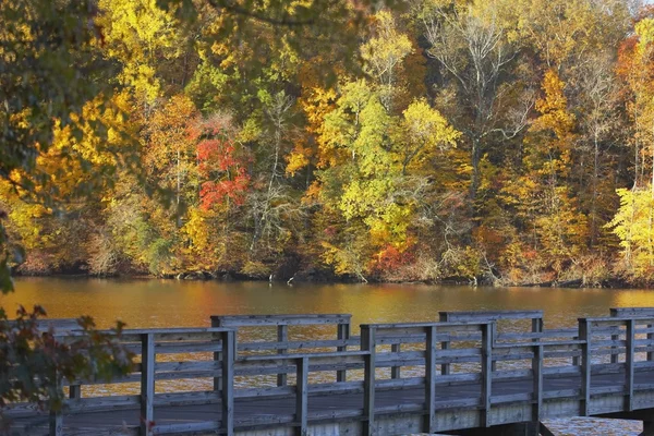 Árboles a lo largo de la costa en otoño — Foto de Stock