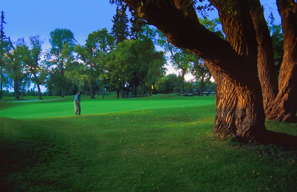 Golfista na zelené — Stock fotografie