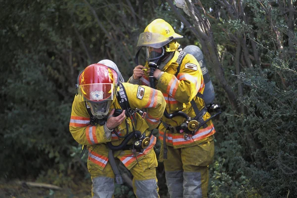 Pompiers mettant de l'équipement — Photo