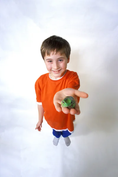 Πλήρους μήκους πορτραίτο του αγοριού με βάτραχος — Φωτογραφία Αρχείου