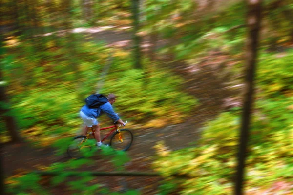 Homme descendant la piste forestière à vélo — Photo