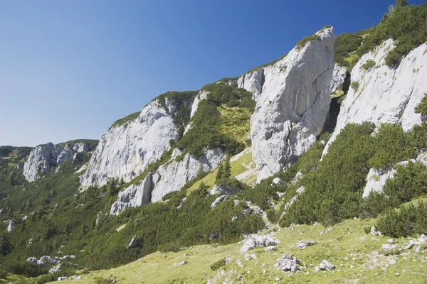 オーストリアのアルプスの山の崖 — ストック写真