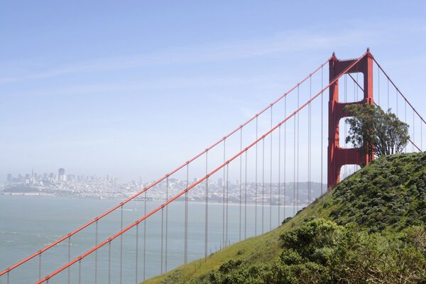 Висячий мост по воде
