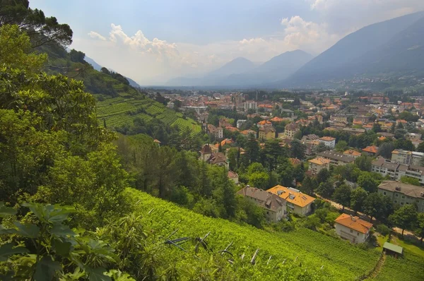 Vue D'une Ville Dans La Vallée Près De Merano Et De Vignobles Terrassés . — Photo