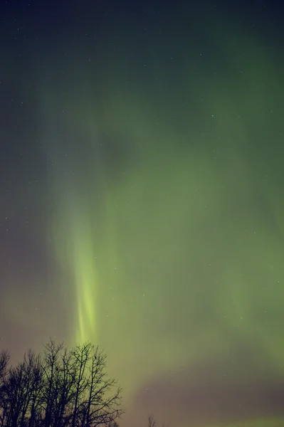 Northern Lights Alberta Canadá — Fotografia de Stock