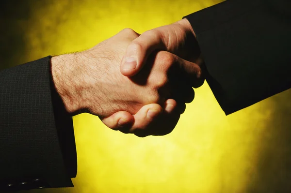 Businessmen Shake Hands — Stock Photo, Image