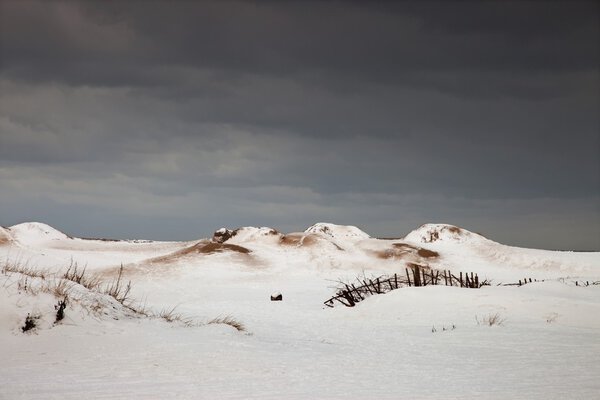 Winter Landscape