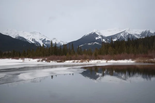 Vinterlandskap, banff nationalpark — Stockfoto