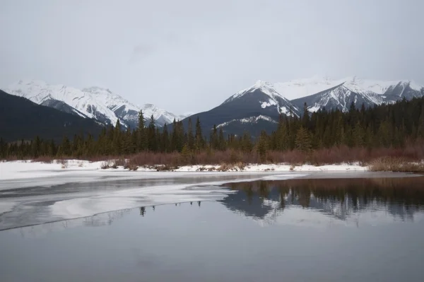 Paisagem de Inverno, Parque Nacional de Banff — Fotografia de Stock