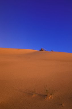 kum tepeleri