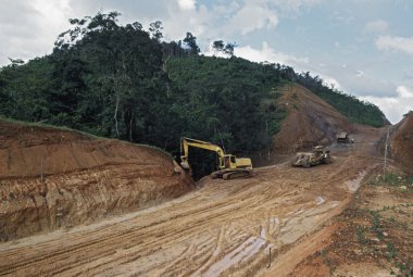 tropikal yağmur ormanları, belize üzerinden yol inşaatı