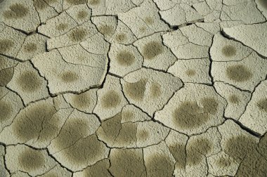 Dry Cracked Mud clipart