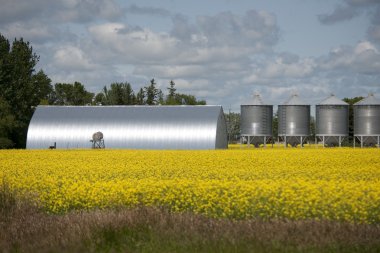 Metalik tahıl depolama birimleri, manitoba, canada