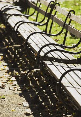 Park bench ve zemin üzerinde bir kuş